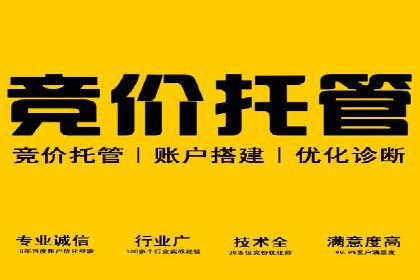 案例分析：SEM推广助力企业业绩增长